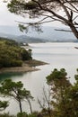 Bilancino lake landscape