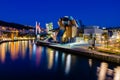 Bilbao city architectural at night and touristic places highlights