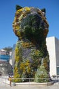 Bilbao, Spain - `The Puppy` floral sculpture outside of the Guggenheim Museum