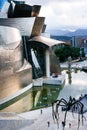 Guggenheim Museum in the Basque city of Bilbao, in northern Spain