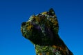 Puppy sculpture covered with flowers