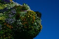 Puppy sculpture covered with flowers by the artist Jeff Koons