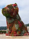 Bilbao, Spain - September 2018: The giant flower puppy outside of Guggenheim Museum in Bilbao, Spain