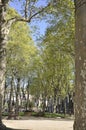 Bilbao, 13th april: Scene of Areatzako Park from Downtown of Bilbao city in Basque Country of Spain