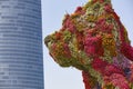 Bilbao urban skyline with building facade and flowered puppy