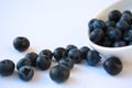 Bilberries Royalty Free Stock Photo