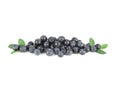 Bilberries Royalty Free Stock Photo