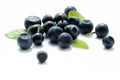 Bilberries Royalty Free Stock Photo