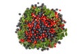 Bilberries and cranberries Royalty Free Stock Photo