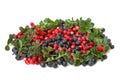 Bilberries and cranberries Royalty Free Stock Photo