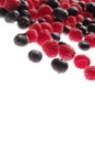 Bilberries and raspberries Royalty Free Stock Photo