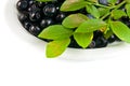 Bilberries on white dish