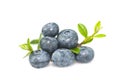 Bilberry