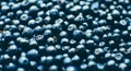 Bilberry Background Photo