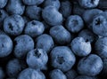 Bilberry berries close up Royalty Free Stock Photo