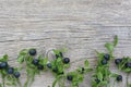 Bilberry branches with berries on wooden background