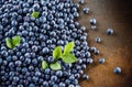 Bilberry. Organic blueberry background with leaves. Berries on dark background Royalty Free Stock Photo