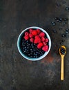 Bilberry and raspberries in blue bowl on vintage rusty metal background. Concept of organic berries.