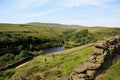 Bilberry Reservoir Royalty Free Stock Photo