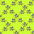 Bilberry seamless pattern