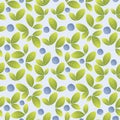 Bilberry seamless pattern vector background