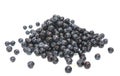 Bilberry Seeds, Vaccinium myrtillus, Medicinal Herb Seeds, Whortleberry, Perennial, Blaeberry Isolated on White. Used for Eye