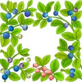 Bilberry vector frame