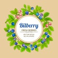 Bilberry vector frame
