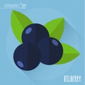 Bilberry vector icon.