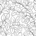 Bilberry vector pattern