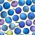 Bilberry vector pattern