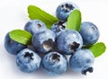 Bilberry on a white Royalty Free Stock Photo