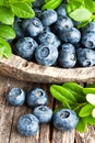 Blueberry, antioxidant organic superfood