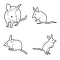 Bilby Animal Vector Illustration Hand Drawn Cartoon Art