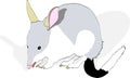 Bilby with Shadow