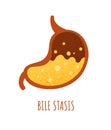 Bile stasis stomach concept