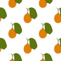 Voavanga Fruit. Seamless Vector Patterns