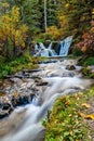 Bill Hill Springs Provincial Park, Alberta, Canada Royalty Free Stock Photo