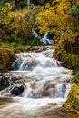 Bill Hill Springs Provincial Park, Alberta, Canada Royalty Free Stock Photo