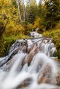 Bill Hill Springs Provincial Park, Alberta, Canada Royalty Free Stock Photo