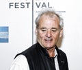 Bill Murray Royalty Free Stock Photo