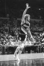 Bill Walton