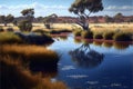 A billabong in the Australian outback