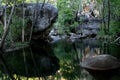 Billabong - Kakadu , Australia