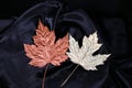 Fall colours are considered luxury colours for fashion and makeup collection s