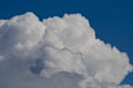 Billowing Cumulus Clouds Boiling in the Bright Blue Summer Sky Royalty Free Stock Photo