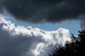 Billowing grey white clouds with blue sky. Stormy weather. Royalty Free Stock Photo