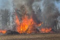 Billowing smoke and flames from a brush fire