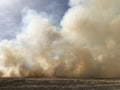 Billowing white clouds of smoke from a brush fire