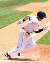 Billy Fleming, Charleston RiverDogs Royalty Free Stock Photo